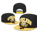 Pittsburgh Steeler SnapBack Hat